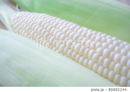 白いトウモロコシ　ピュアホワイト　採れたて野菜 80892244