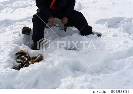 ice fishing. fisherman fishing on a winter lake against a background of forest and blue sky. 80892355