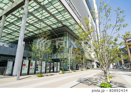 名古屋市中村区 名古屋駅 JRゲートタワー前 街路樹 名古屋市中村区 名古屋駅 JRゲートタワー前 街路樹 80892434