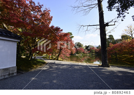 京都仙洞御所 北池 女院御所の池 京都仙洞御所 北池 女院御所の池 80892463