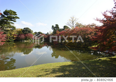 京都仙洞御所 北池 女院御所の池 京都仙洞御所 北池 女院御所の池 80892466