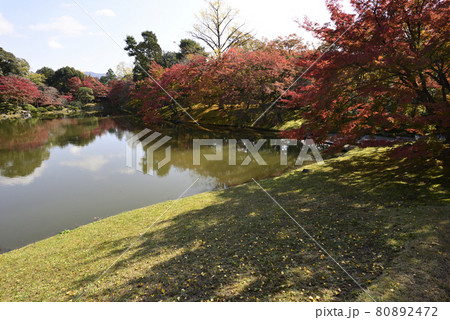 京都仙洞御所　北池　女院御所の池 80892472