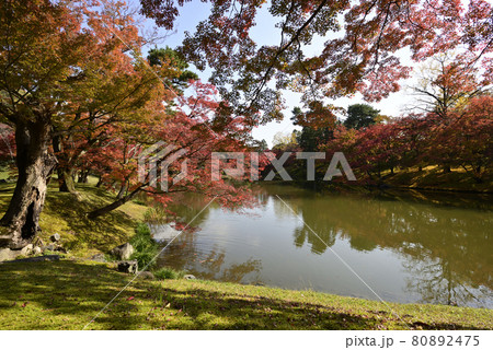 京都仙洞御所　北池　女院御所の池 80892475