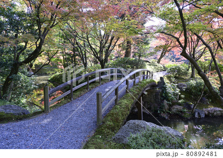 京都仙洞御所 北池 女院御所の池 京都仙洞御所 北池 女院御所の池 80892481