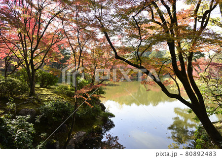 京都仙洞御所 北池 女院御所の池 京都仙洞御所 北池 女院御所の池 80892483