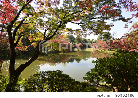 京都仙洞御所　北池　女院御所の池 80892486