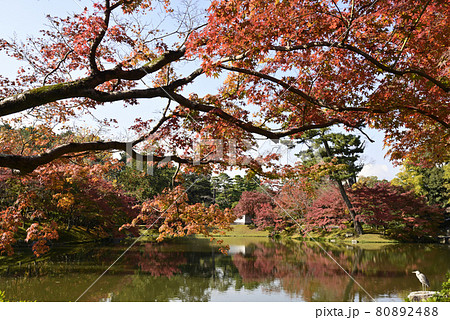 京都仙洞御所 北池 女院御所の池 京都仙洞御所 北池 女院御所の池 80892488