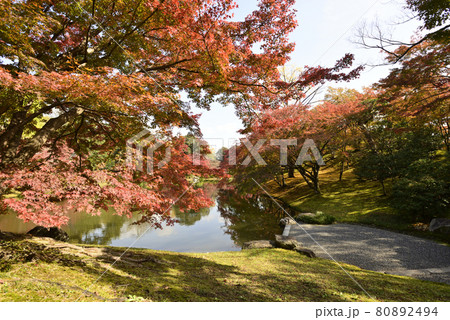 京都仙洞御所　北池　女院御所の池 80892494