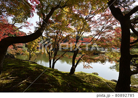京都仙洞御所　南池の紅葉 80892785