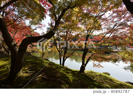 京都仙洞御所 南池の紅葉 京都仙洞御所 南池の紅葉 80892787