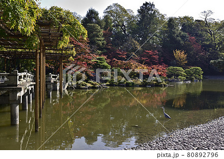 京都仙洞御所 南池の紅葉 京都仙洞御所 南池の紅葉 80892796