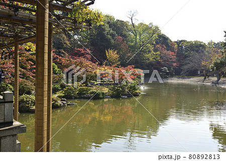 京都仙洞御所 南池の紅葉 京都仙洞御所 南池の紅葉 80892813
