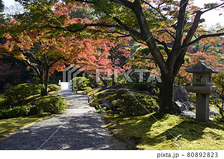 京都仙洞御所 南池の紅葉 京都仙洞御所 南池の紅葉 80892823