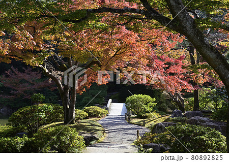 京都仙洞御所　南池の紅葉 80892825