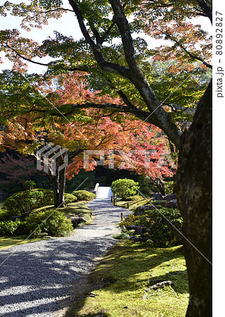 京都仙洞御所 南池の紅葉 京都仙洞御所 南池の紅葉 80892827