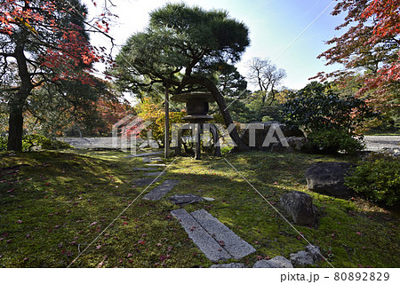 京都仙洞御所　南池の紅葉 80892829