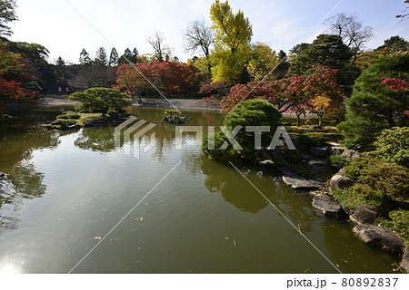 京都仙洞御所　南池の紅葉 80892837