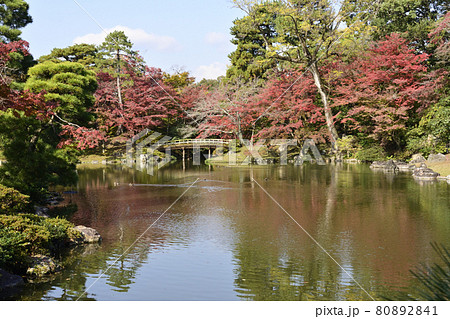 京都仙洞御所　南池の紅葉 80892841