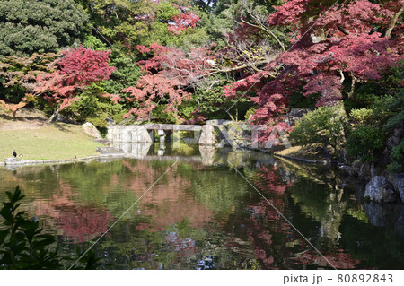 京都仙洞御所 南池の紅葉 京都仙洞御所 南池の紅葉 80892843