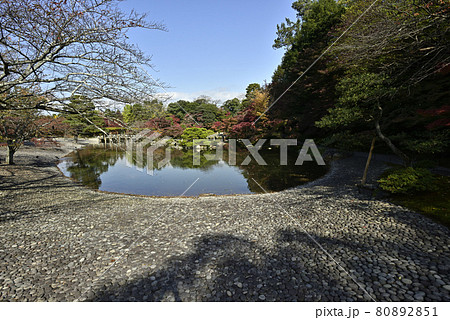 京都仙洞御所 南池の紅葉 京都仙洞御所 南池の紅葉 80892851
