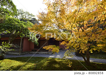 京都仙洞御所　南池の紅葉 80892858