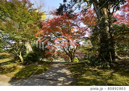 京都仙洞御所 南池の紅葉 京都仙洞御所 南池の紅葉 80892863