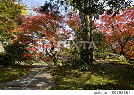京都仙洞御所 南池の紅葉 京都仙洞御所 南池の紅葉 80892864