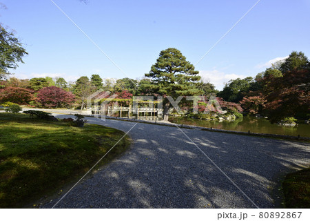 京都仙洞御所　南池の紅葉 80892867
