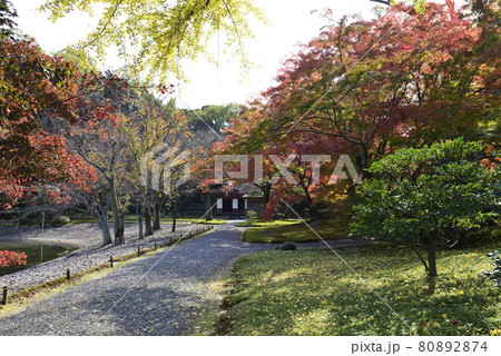 京都仙洞御所　南池の紅葉 80892874