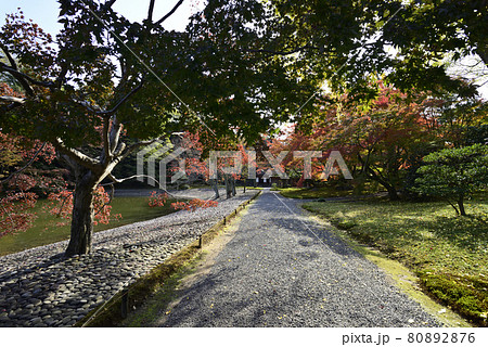 京都仙洞御所　南池の紅葉 80892876