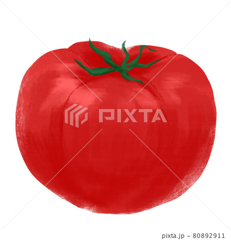 トマトのイラスト 手描きのイラスト素材