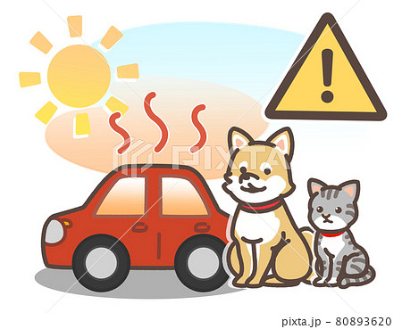 炎天下で暑くなっている車とペット 80893620