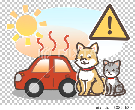 炎天下で暑くなっている車とペット 80893620
