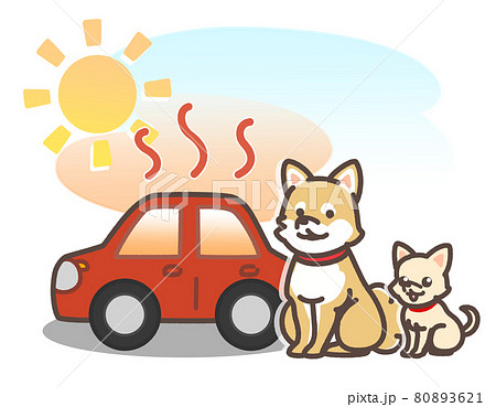 炎天下で暑くなっている車とペット 80893621