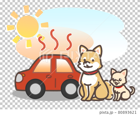 炎天下で暑くなっている車とペット 80893621