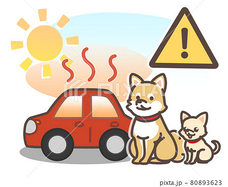 炎天下で暑くなっている車とペット 80893623
