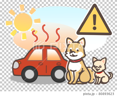 炎天下で暑くなっている車とペット 80893623