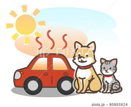 炎天下で暑くなっている車とペット 80893624