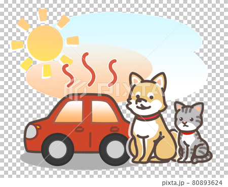 炎天下で暑くなっている車とペット 80893624