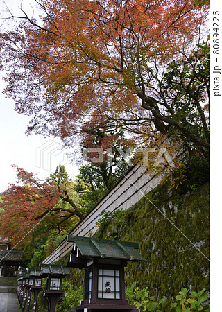 長楽寺　参道 80894226