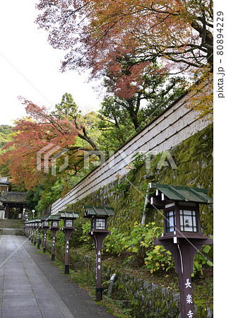 長楽寺 参道 長楽寺 参道 80894229