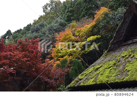 嵯峨鳥居本 重要伝統的建造物群保存地区 嵯峨鳥居本 重要伝統的建造物群保存地区 80894624