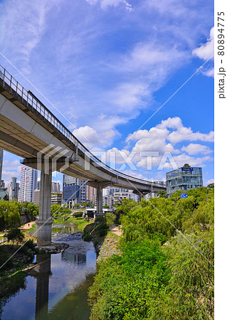 ソウル スポット 桟橋 80894775