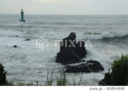 海 海岸 波 80894886