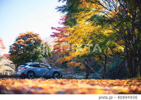 紅葉とドライブ 80894936