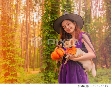 Halloween concept. Young girl in a Halloween costume with two chihuahua dogs in the forest. 80896215