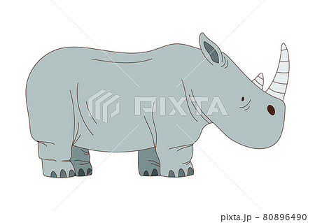 Grey Rhinoceros with Horn as African Animal Vector Illustration Grey Rhinoceros with Horn as African Animal Vector Illustration 80896490