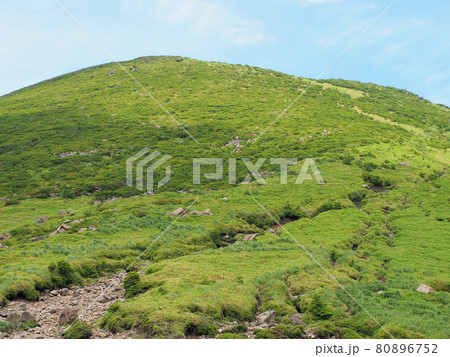 初夏のスガモリ越え避難からみた三俣山登山道　大分県玖珠郡九重町田野 80896752