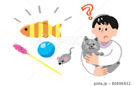 疑問を持ちながら飼い猫を抱っこする男性と猫のおもちゃ（手描きカラー） 80896832