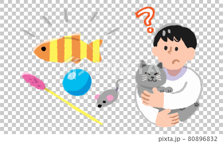 疑問を持ちながら飼い猫を抱っこする男性と猫のおもちゃ（手描きカラー） 80896832